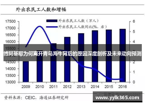 博阿基耶为何离开青岛海牛背后的原因深度剖析及未来动向预测