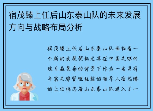 宿茂臻上任后山东泰山队的未来发展方向与战略布局分析