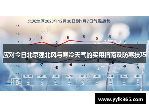 应对今日北京强北风与寒冷天气的实用指南及防寒技巧