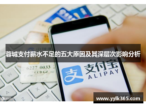 蓉城支付薪水不足的五大原因及其深层次影响分析